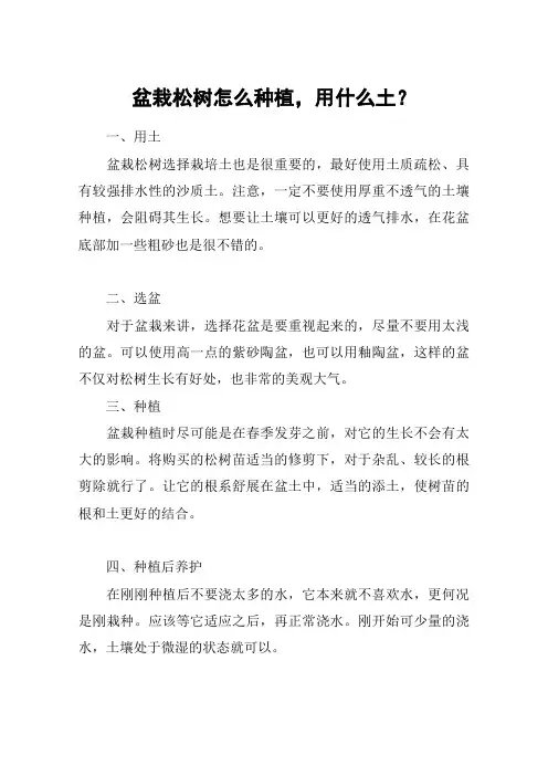 盆栽松树怎么种植,用什么土？