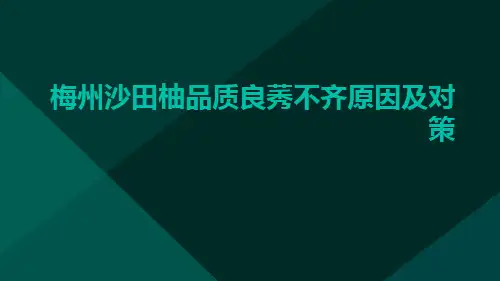 梅州沙田柚品质良莠不齐原因及对策