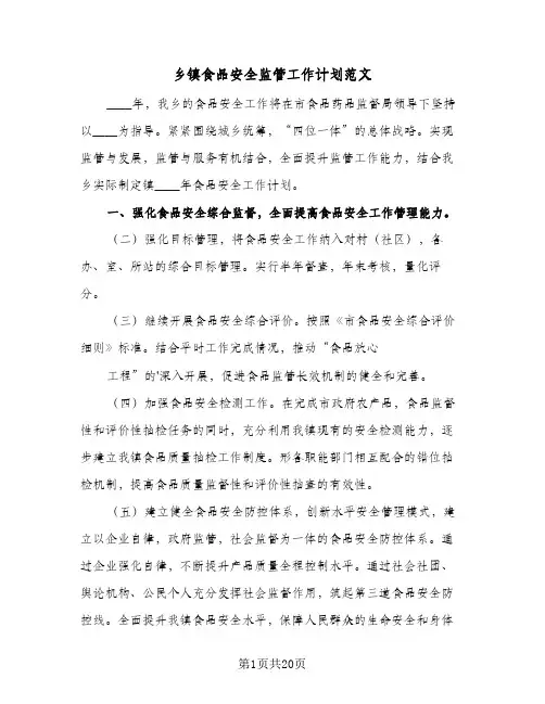 乡镇食品安全监管工作计划范文(8篇)