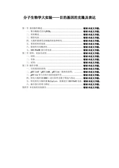 分子生物学大实验——目的基因的克隆及表达