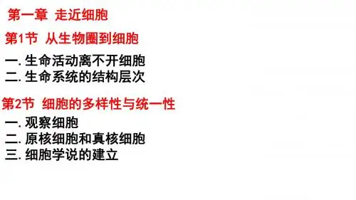 2019届高考生物大一轮复习精品课件：专题1 细胞的分子组成(共38张PPT)
