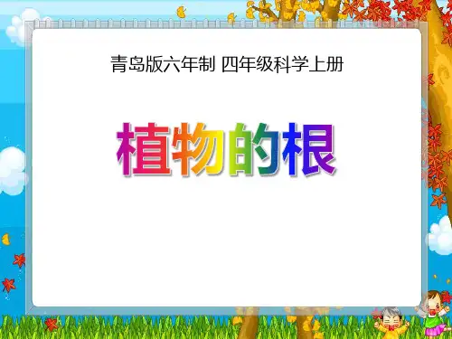 《植物的根》PPT-模板