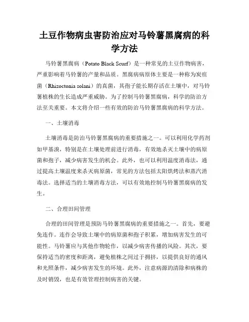 土豆作物病虫害防治应对马铃薯黑腐病的科学方法
