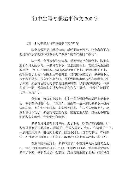 初中生写寒假趣事作文600字