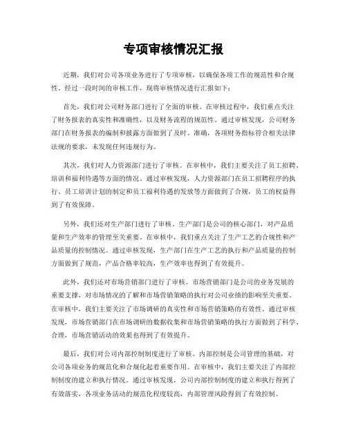 专项审核情况汇报