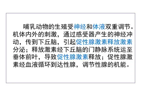 生殖系统药物