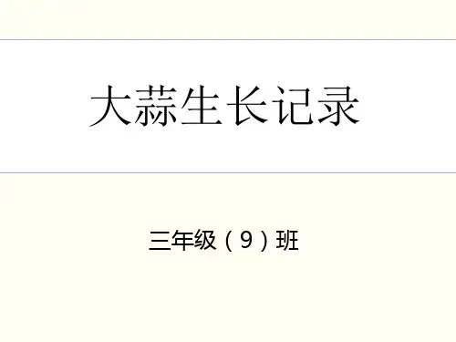 大蒜生长记录