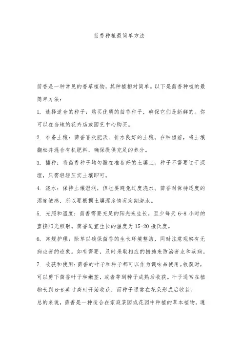 茴香种植最简单方法