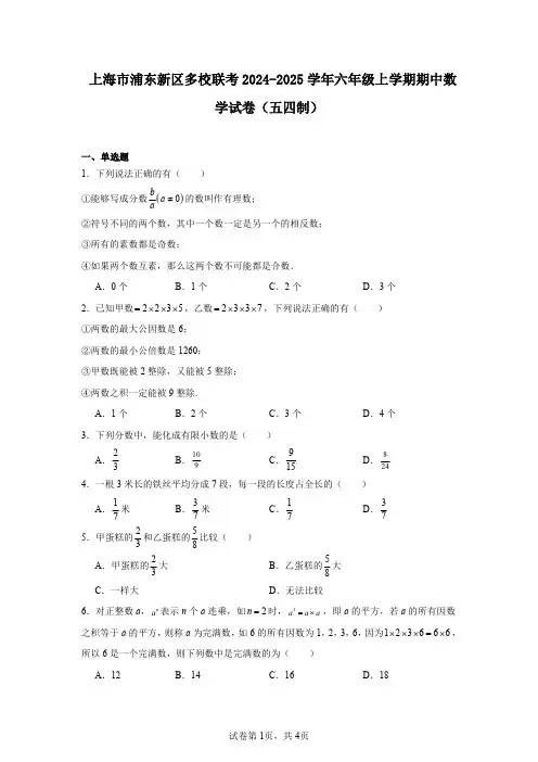上海市浦东新区多校联考2024-2025学年六年级上学期期中数学试卷(五四制)