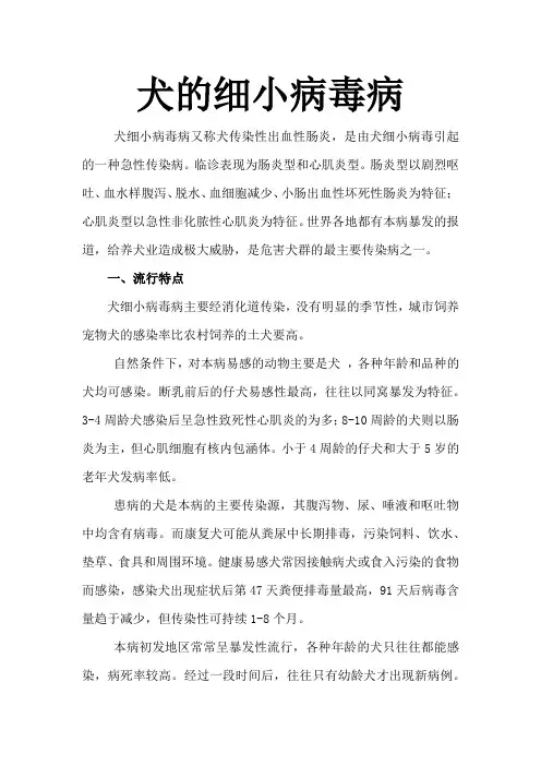 犬的细小病毒病