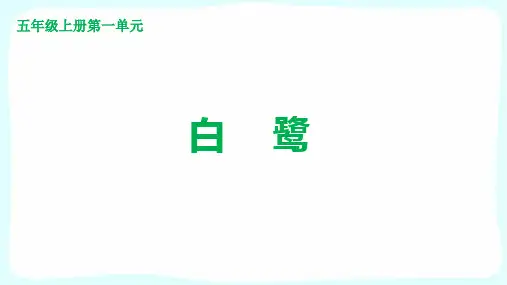 《白鹭》ppt课件