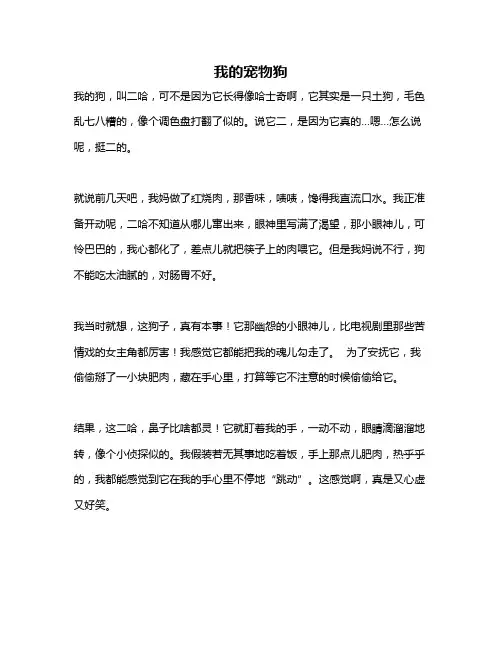 作文《我的宠物狗》