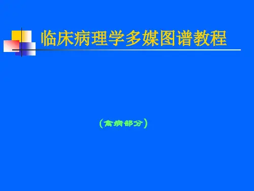 临床病理学多媒图禽病图谱教程