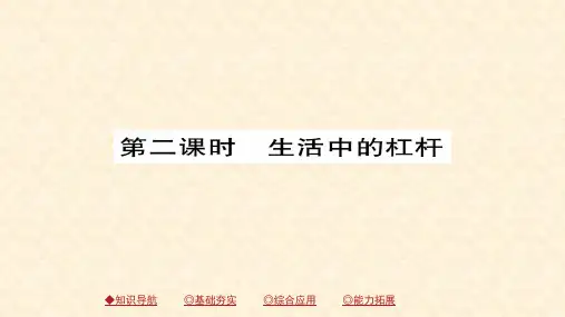 (人教版)八年级物理下册习题课件：12.第1节 杠杆 第二