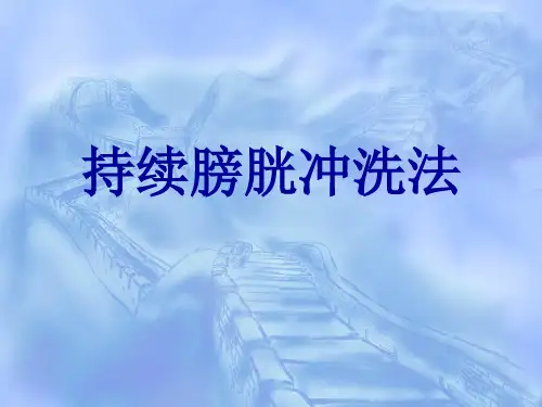 持续膀胱冲洗