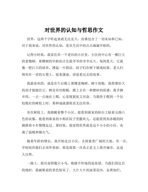 对世界的认知与哲思作文
