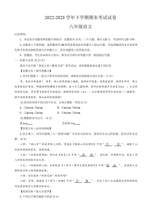 河南省平顶山市汝州市2022-2023学年八年级下学期期末考试语文试题(含答案)
