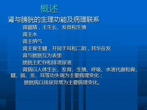 中医诊断学脏腑辨证肾与膀胱病辨证