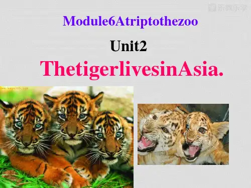 外研版英语课件七上：Module6Unit2ThetigerlivesinAsia.1