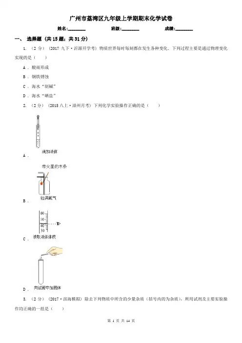广州市荔湾区九年级上学期期末化学试卷