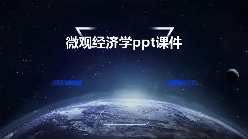 微观经济学ppt课件