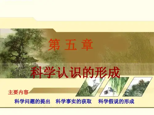 自然辩证法第五章科学认识的形成ppt课件