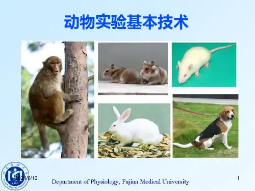 《动物实验基本技术》PPT课件