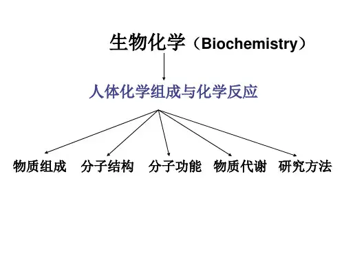 蛋白结构与功能