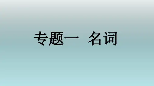 中考英语《名词》专题复习