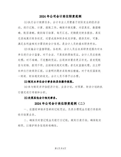 2024年公司会计岗位职责范例（五篇）