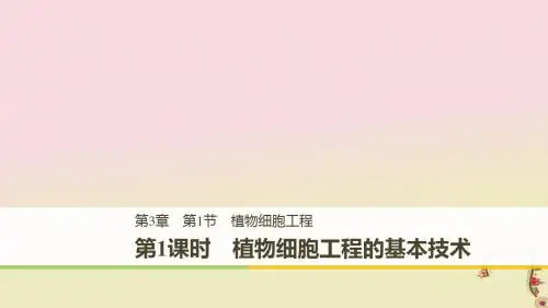 高中生物第3章细胞工程第1节植物细胞工程第1课时植物