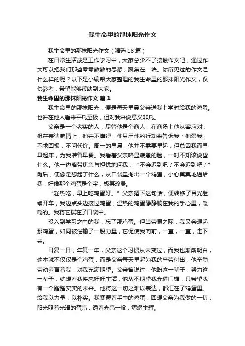 我生命里的那抹阳光作文