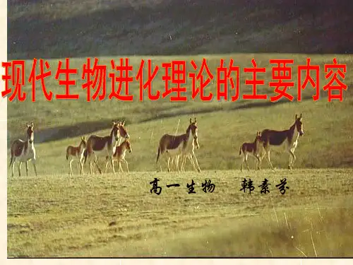 现代生物进化理论的主要内容教学课件