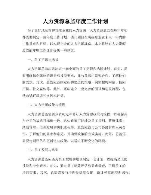 人力资源总监年度工作计划