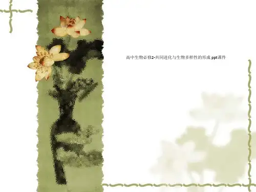 高中生物必修2-共同进化与生物多样性的形成 ppt课件