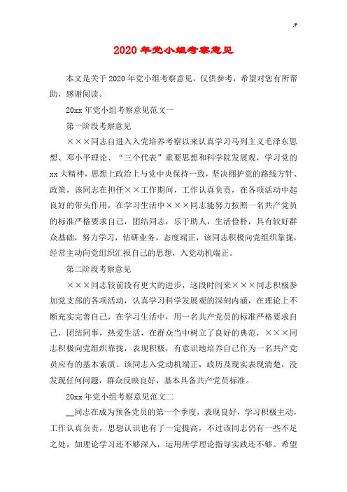 2020年党小组考察意见
