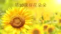 江西版赣美版小学美术六年级下册第十二册第十课《葵花朵朵》PPT课件 (3)