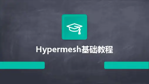 2024版Hypermesh基础教程