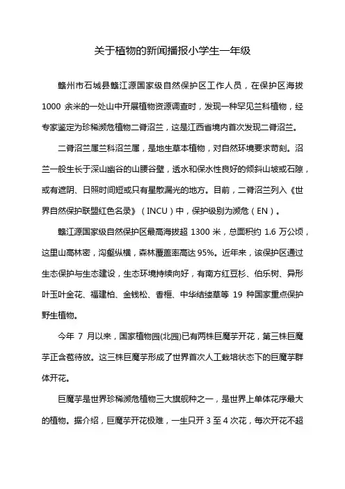 关于植物的新闻播报小学生一年级