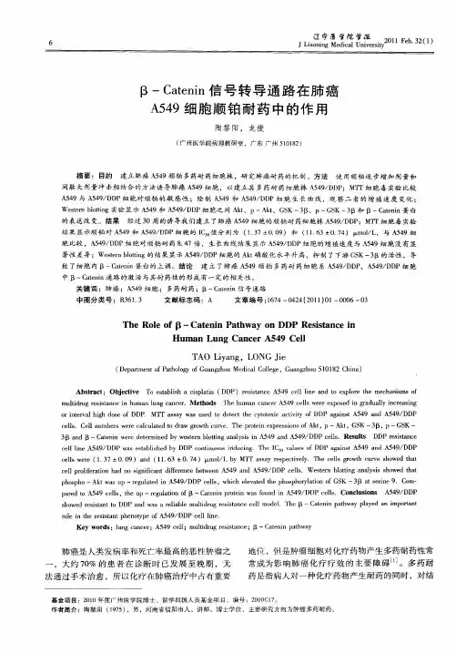 β-Catenin信号转导通路在肺癌A549细胞顺铂耐药中的作用