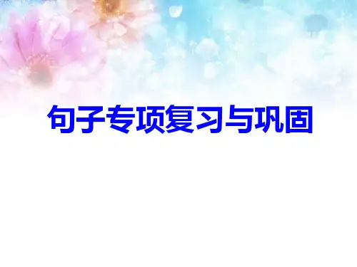 小学语文句子专项练习精品版PPT课件