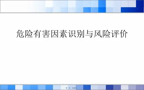 危险有害因素识别与风险评价PPT课件