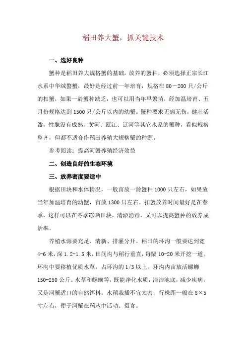 稻田养大蟹,抓关键技术