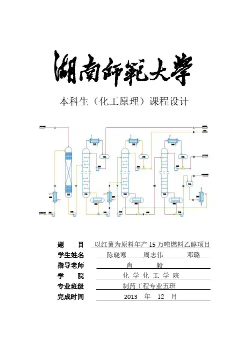 年产15万吨燃料乙醇项目(啦啦队)