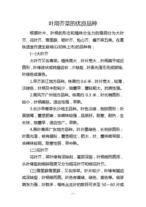 叶用芥菜的优良品种