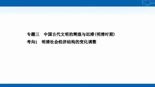 2021届高考历史考前复习课件-1.3.1-明清社会经济结构的变化调整