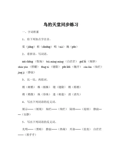 鸟的天堂同步练习