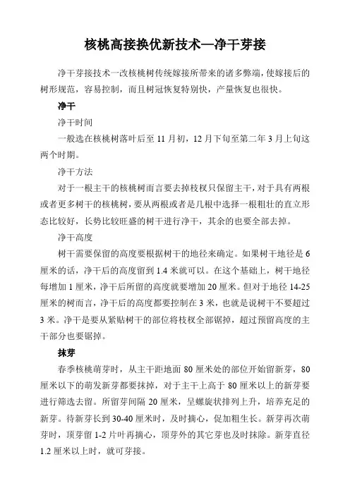 核桃高接换优新技术