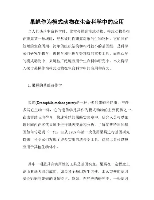 果蝇作为模式动物在生命科学中的应用