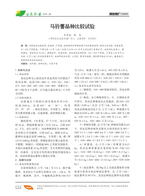 马铃薯品种比较试验